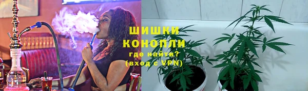 эйфоретик Аркадак