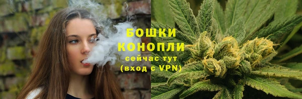 трава Арсеньев