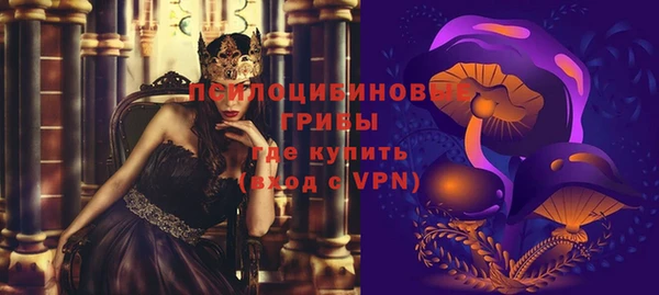 трава Арсеньев