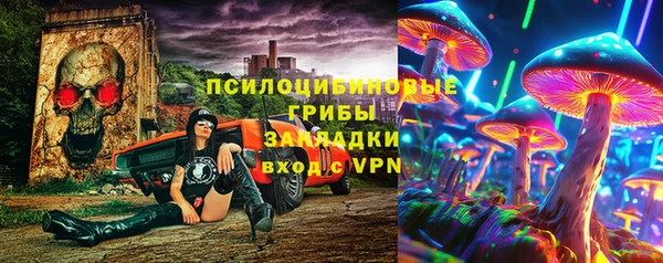 трава Арсеньев