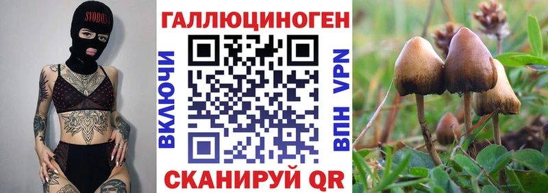 Псилоцибиновые грибы ЛСД  Магадан 